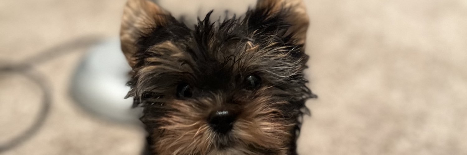 goshlex's profile banner image
