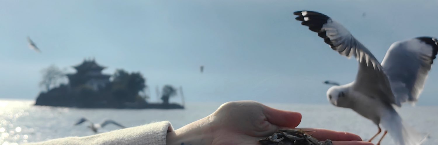 TLlanlyd's profile banner image