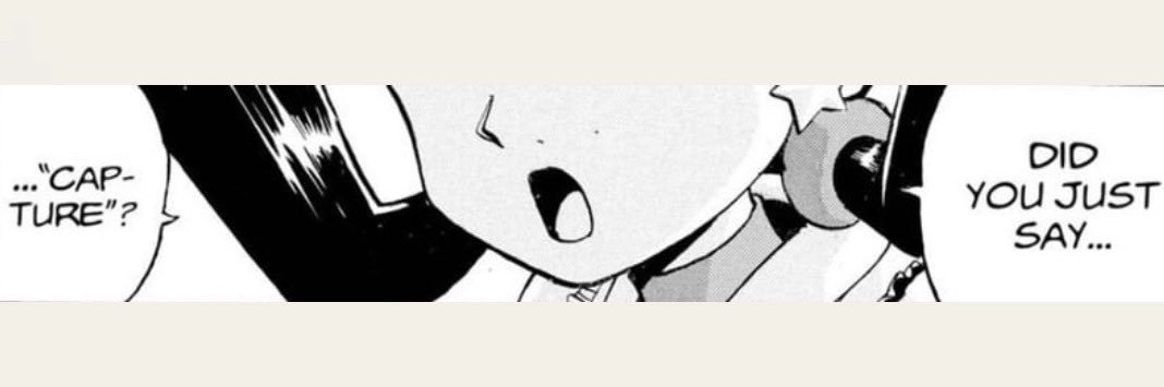 𝐓𝐡𝐞 𝐂𝐚𝐩𝐭𝐮𝐫𝐞𝐫 banner