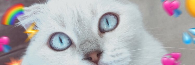 burakbatux's profile banner image