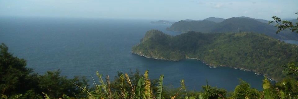 _Lisa_E's profile banner image