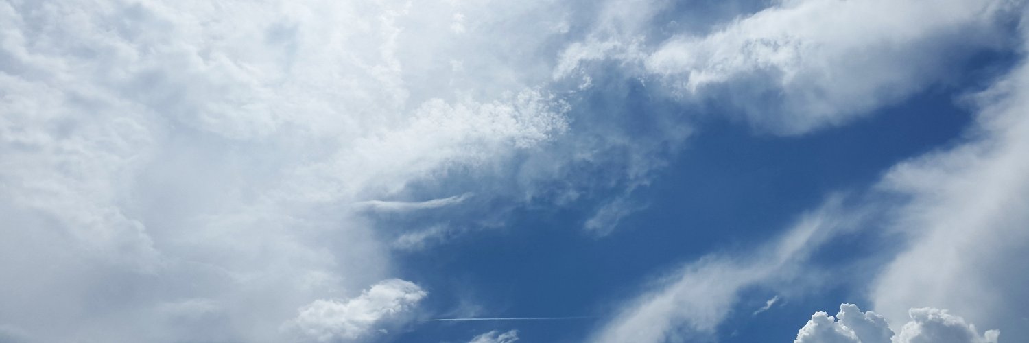 Trached & Baked banner