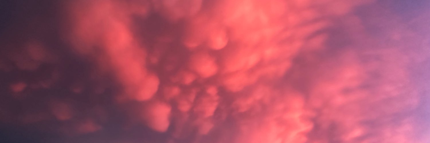 𝗝𝗼𝗵𝗻 𝗕𝘂𝗹𝗺𝗲𝗿 banner