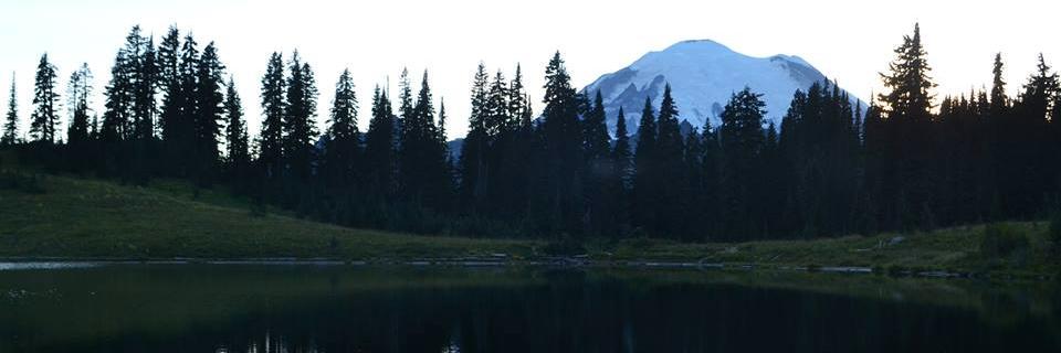 msinge2's profile banner image