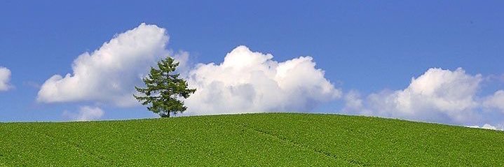Writing Corner. banner