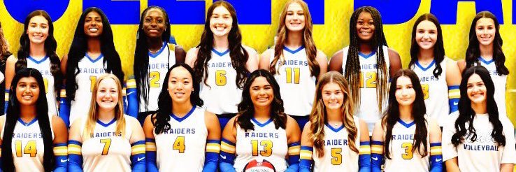 Sunnyvale Volleyball Official banner