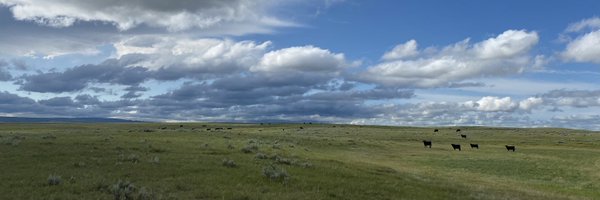 ColterWall Profile Banner