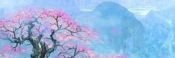 Lady_Popi's profile banner image