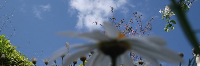 B_Montane's profile banner image