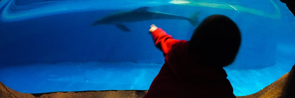 Jennifer Ogles banner