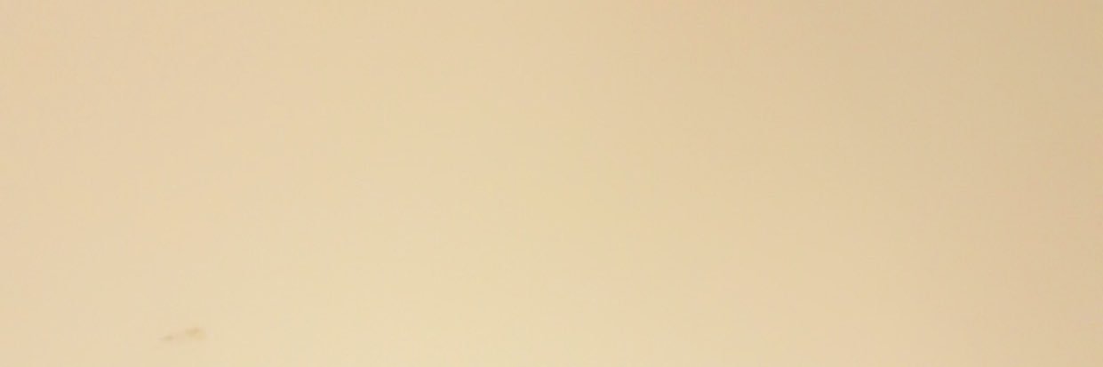 1netheyluv's profile banner image