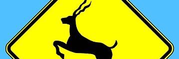 Matt banner
