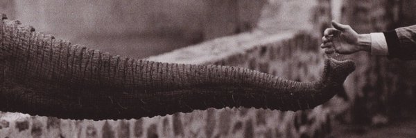 ericstoltz Profile Banner