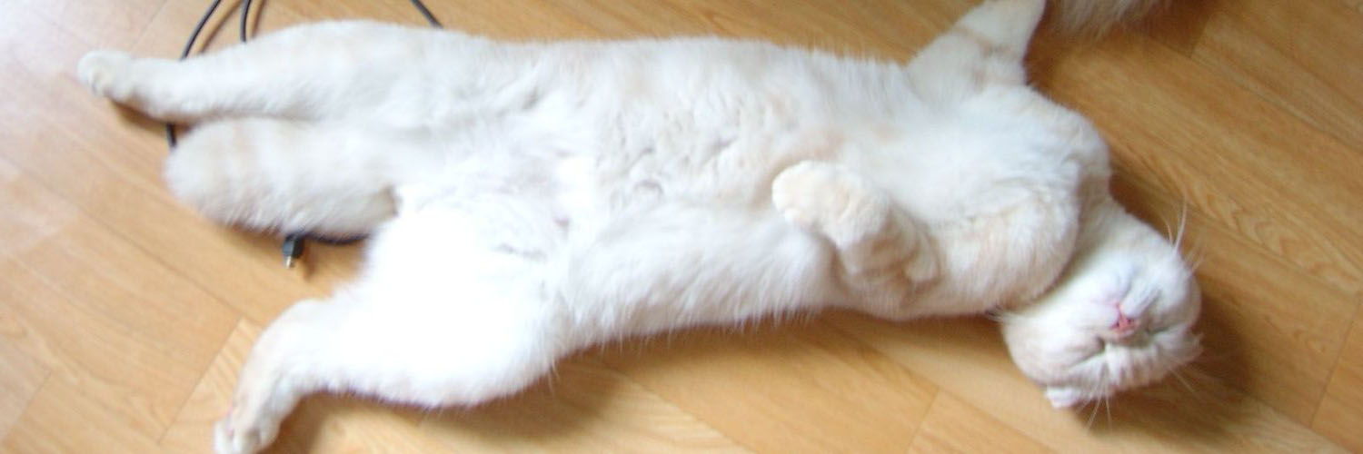 _pecoco's profile banner image