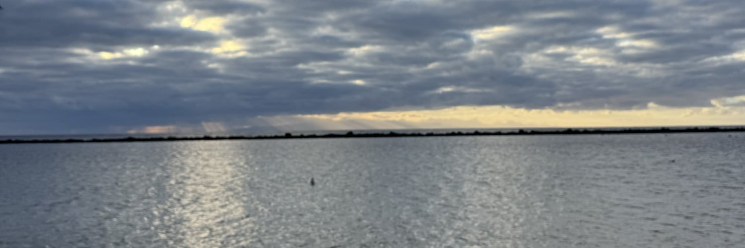JavierGarc2105's profile banner image