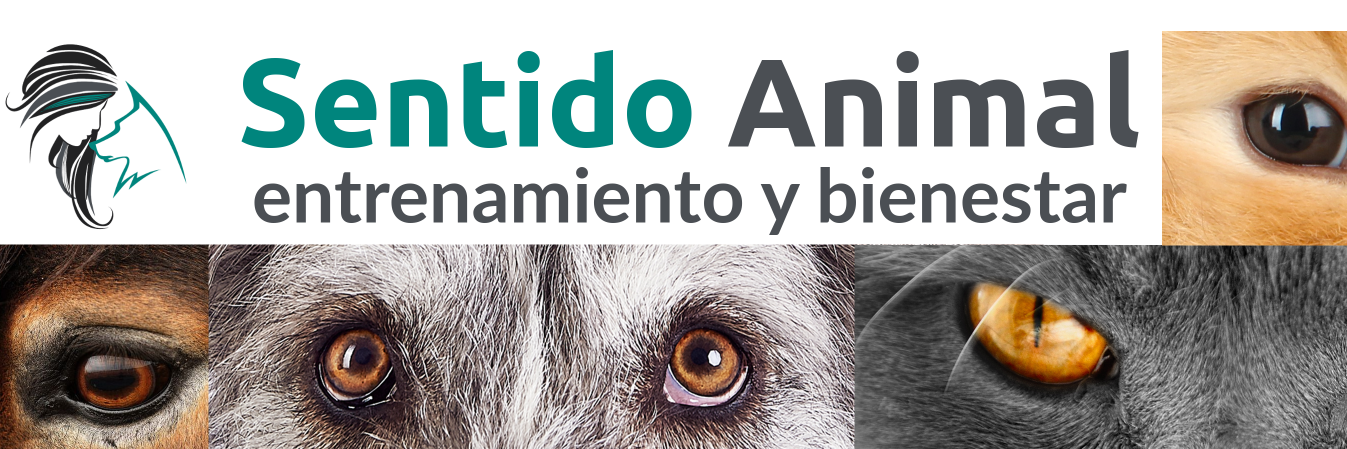 Sentido Animal banner