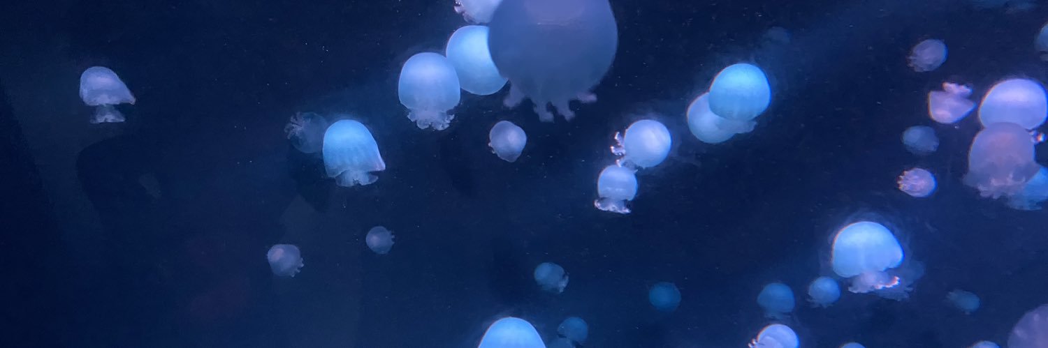 samemaniades's profile banner image
