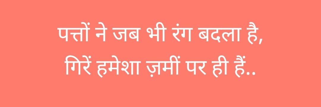saloni choudhary's banner