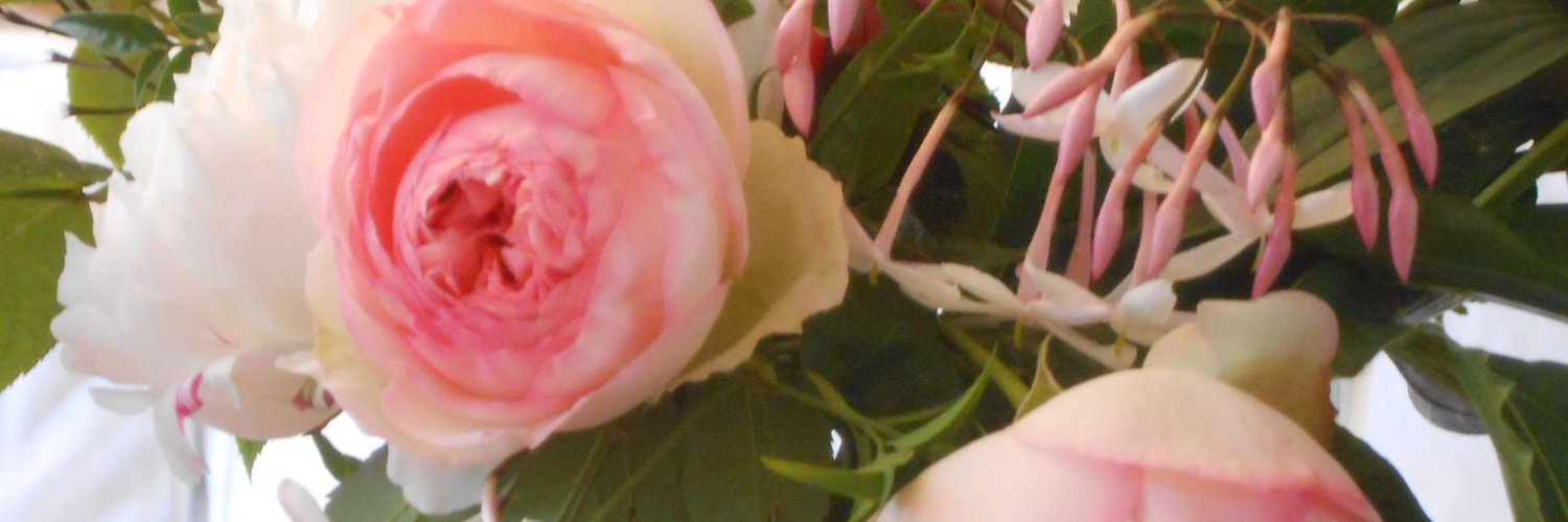 vpuntompunto's profile banner image