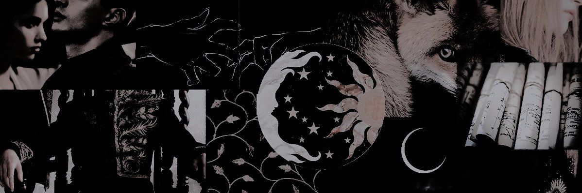 valtor. banner