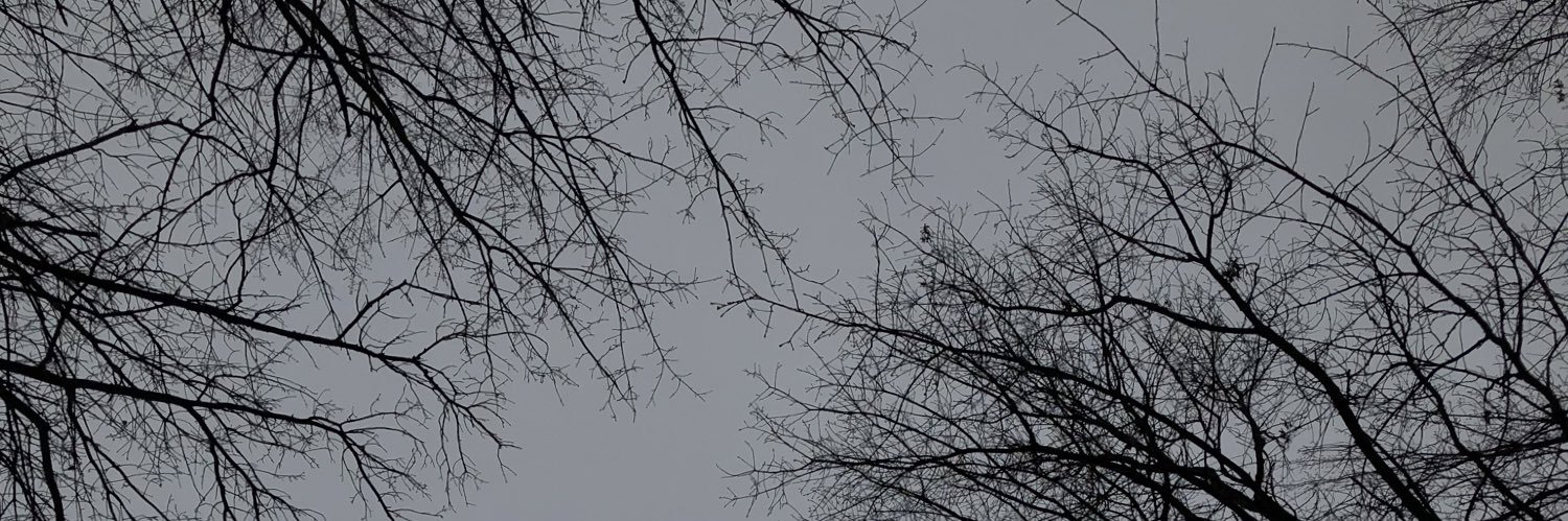 b_bera15's profile banner image