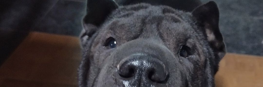 FMartinezRP's profile banner image