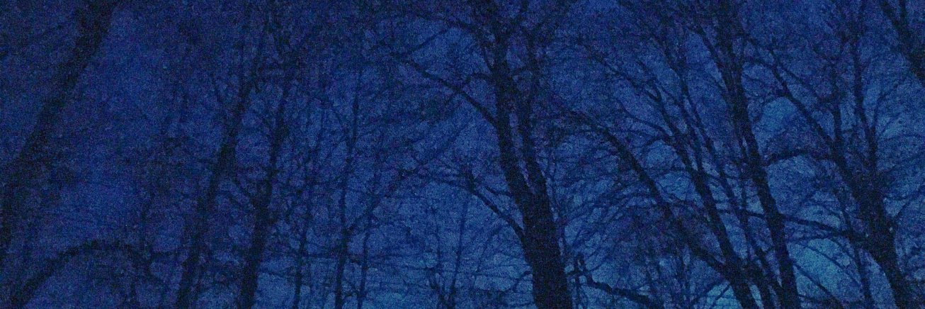 Joseph Provenzano banner
