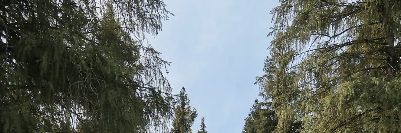 SenseiLiii's profile banner image