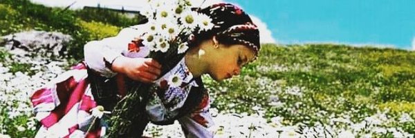 __elifgibi___ Profile Banner