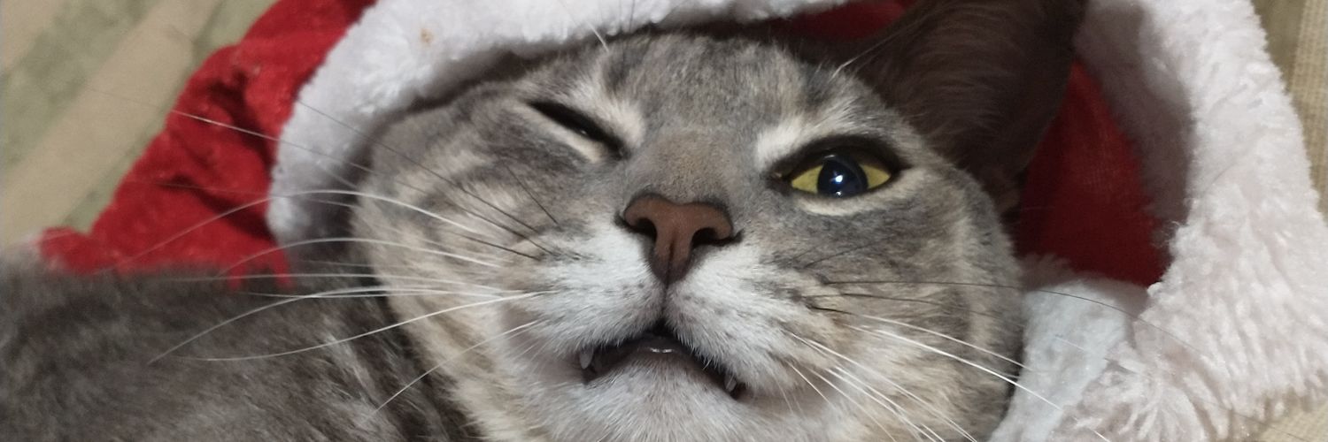 ohanayulia_'s profile banner image