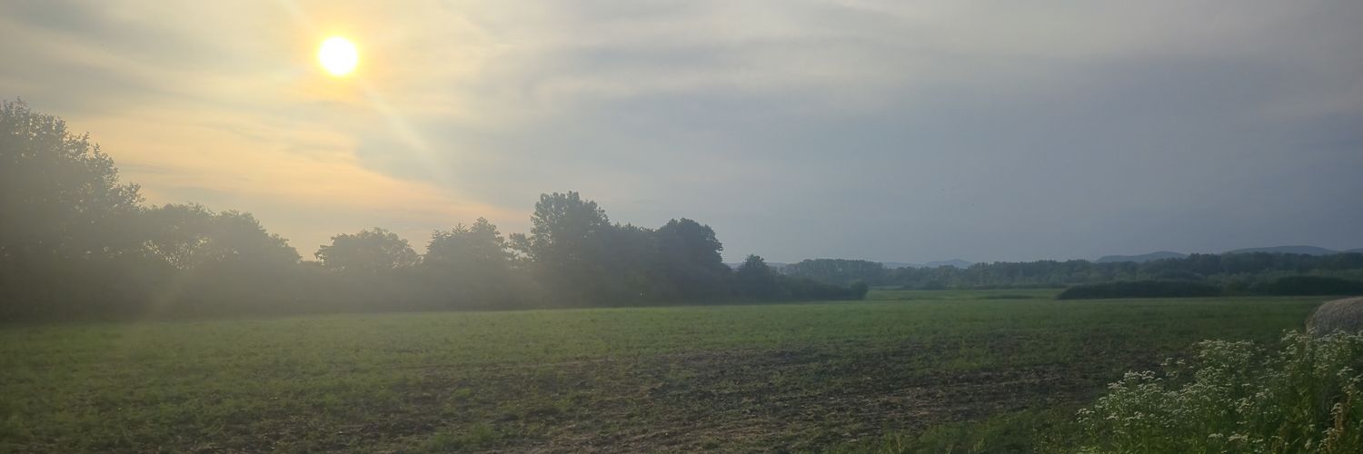 bettibaszos's profile banner image