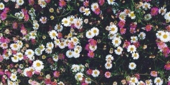 Siljem98's profile banner image