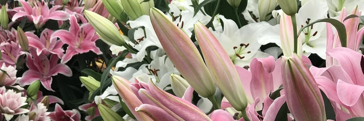 iputputput_'s profile banner image