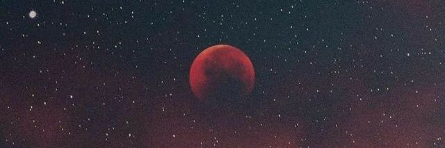 sofisimioni's profile banner image