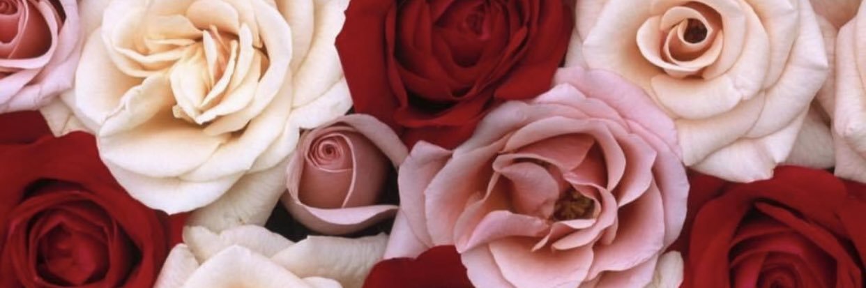 jameezhane's profile banner image
