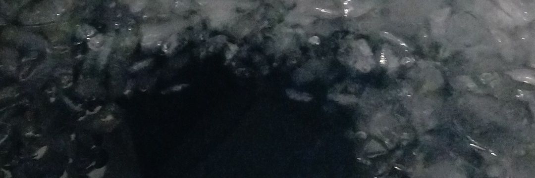 .'s banner