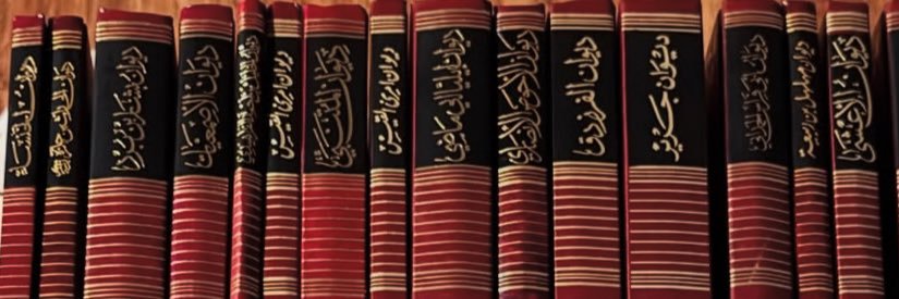 سُليمى banner