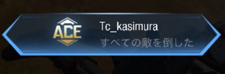 大和 banner
