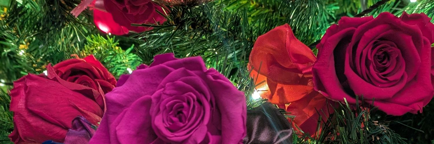 紗呼投稿用's banner
