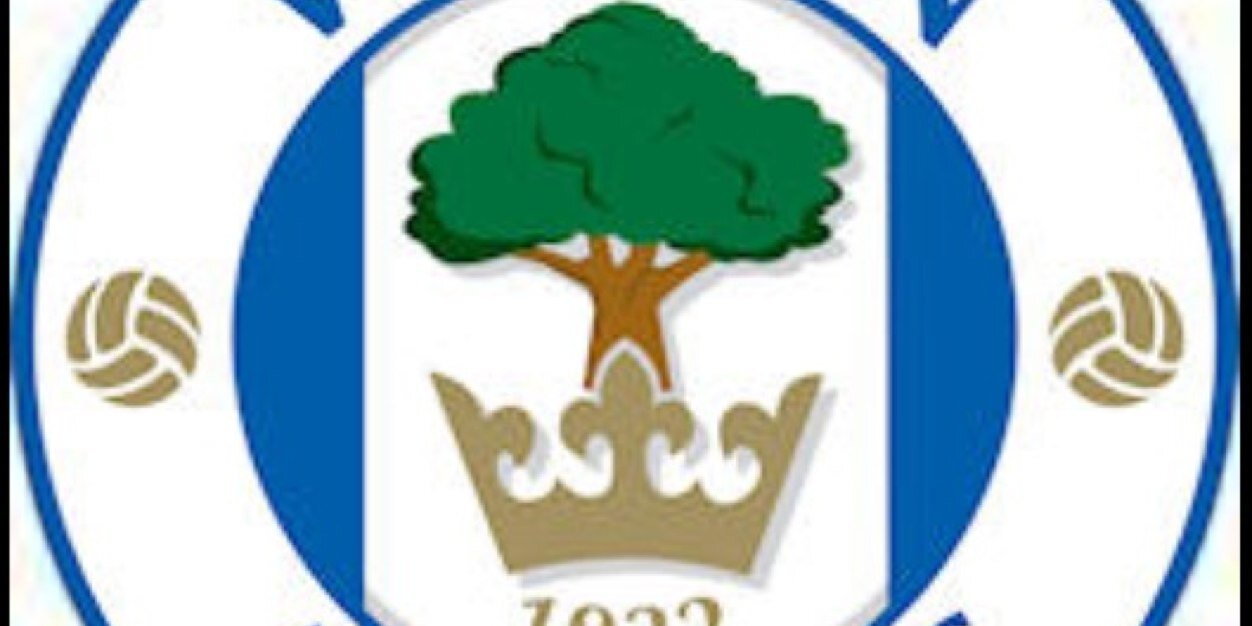 swanny banner