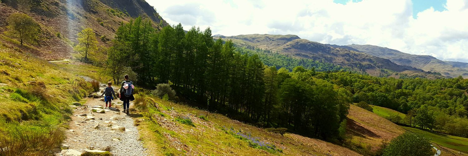 Andrew McCreaddie banner