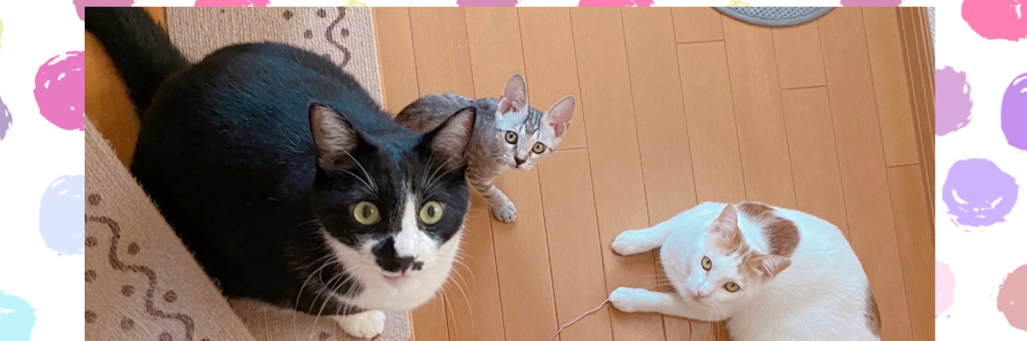 soraco(本物・元垢乗っ取られ中)'s banner