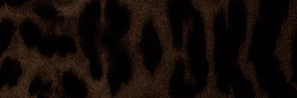PrettyPerfectSouls banner