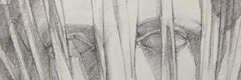 sanki_8's profile banner image