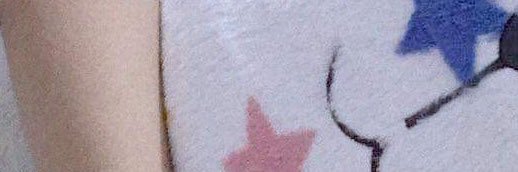 frishing fish banner
