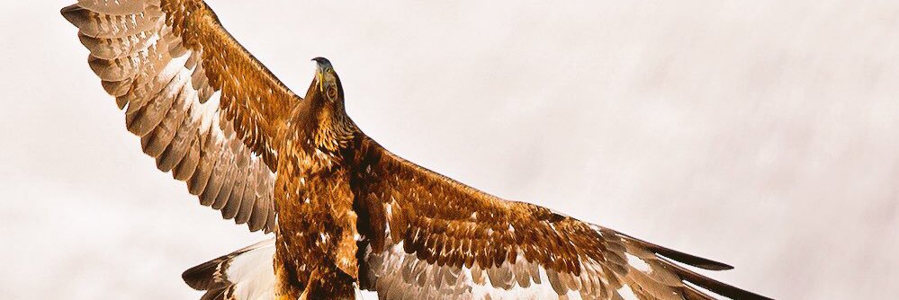 celal_srm's profile banner image