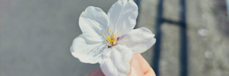 shinejiii's profile banner image