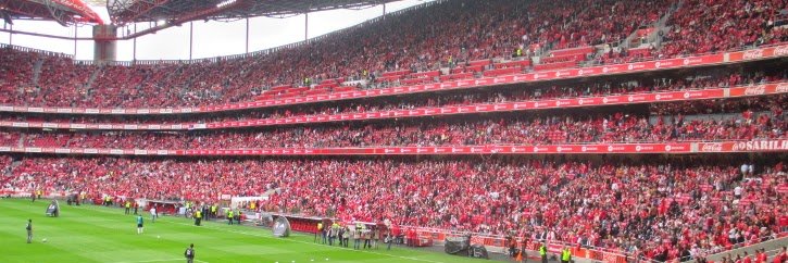 António Matos banner