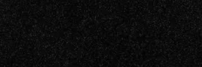 Maxp banner