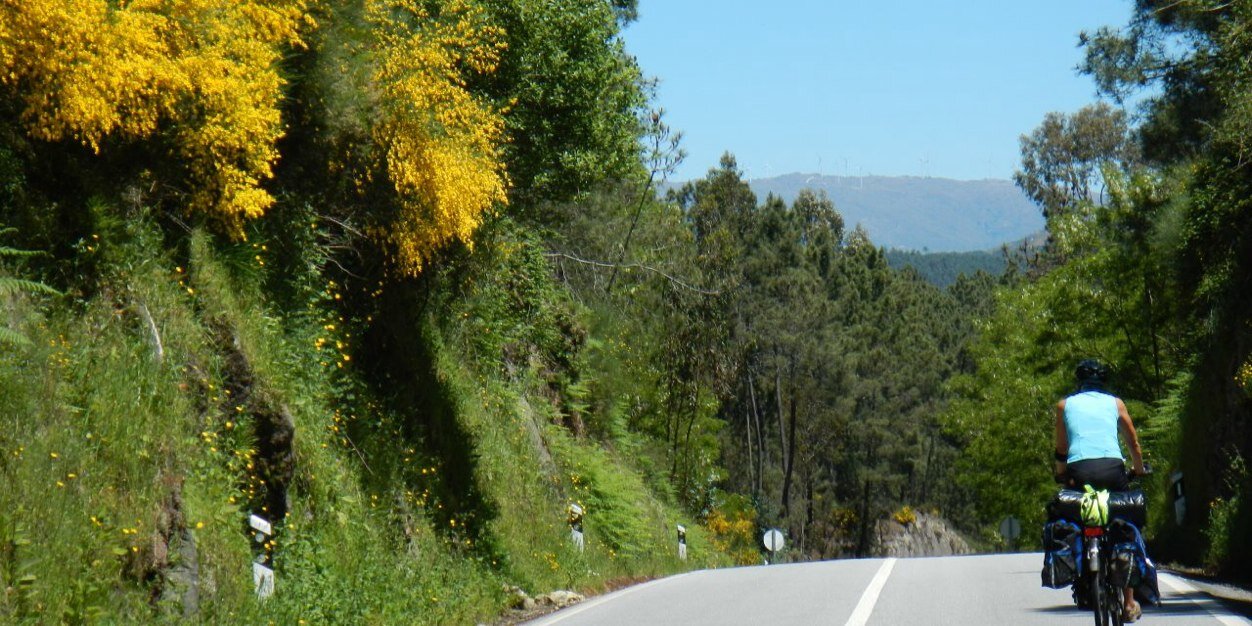 ITweetCoach's profile banner image